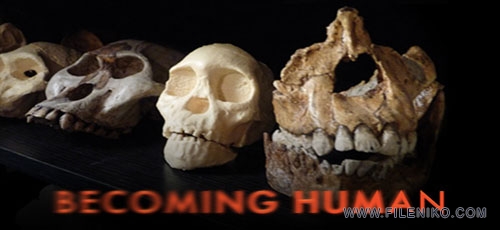 دانلود مستند Nova: Becoming Human 2011 انسان شدن با زیرنویس فارسی