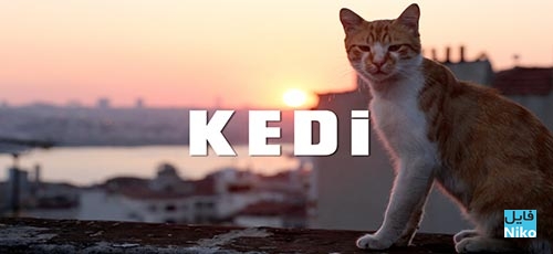 دانلود فیلم مستند Kedi 2016 با زیرنویس فارسی